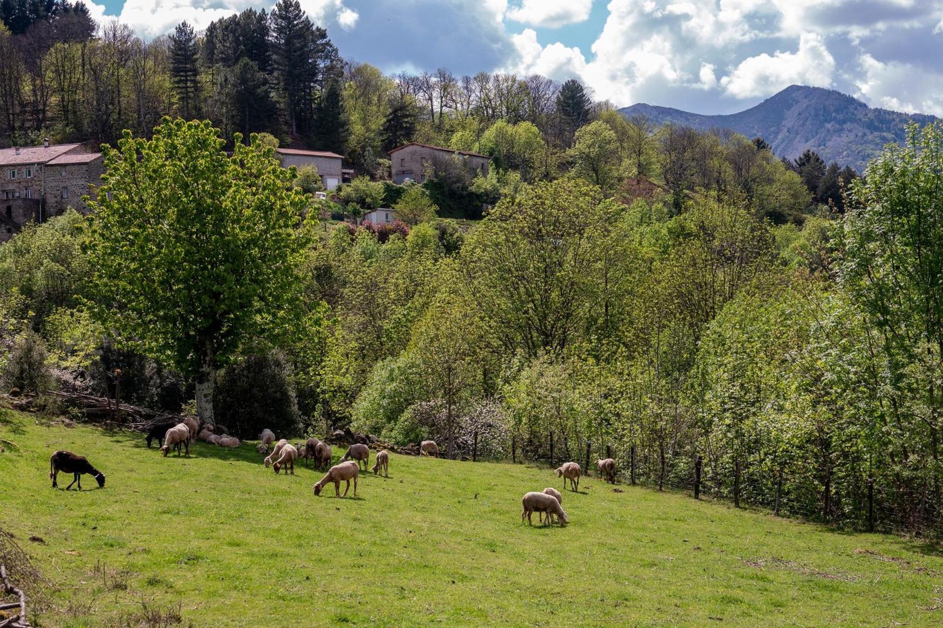 La babounette Jaujac Esterno foto